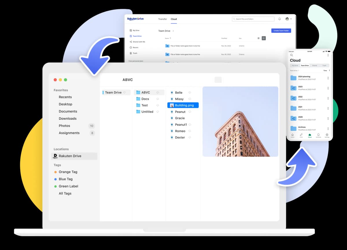Rakuten Drive - Desktop App